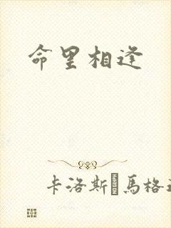 命里相逢