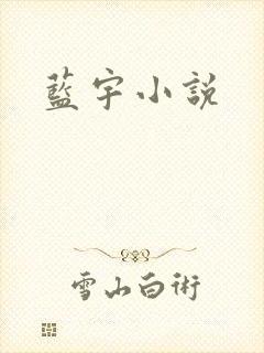 蓝宇小说