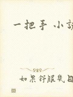 一把手 小说