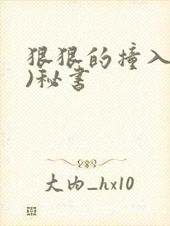 狠狠的撞入(h)秘书