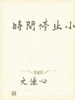 时间停止小说