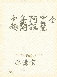 少年阿宾全文笔趣阁钰慧封面