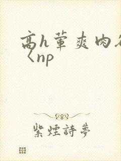 高h荤爽肉欲文〈np