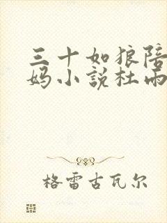 三十如狼陪读妈妈小说杜雨馨封面