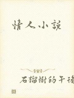 情人小说