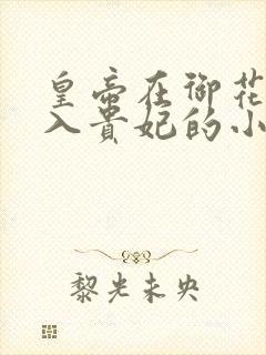 皇帝在御花园进入贵妃的小说