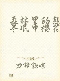 森林里的熊先生冬眠中樱花动漫