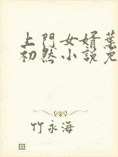 上门女婿叶辰萧初然小说免费阅读无弹窗