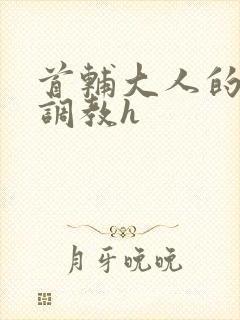 首辅大人的花式调教h