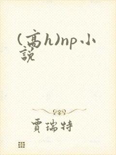 (高h)np小说
