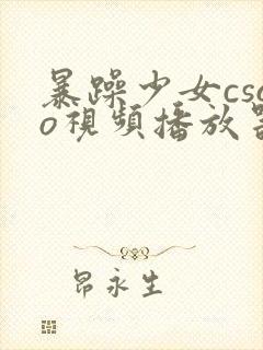 暴躁少女csgo视频播放器推荐