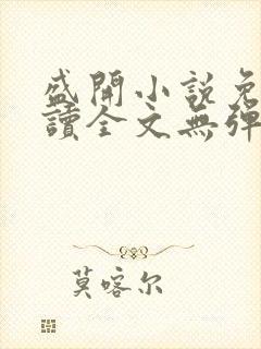 盛开小说免费阅读全文无弹窗