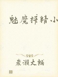 魅魔榨精小说封面