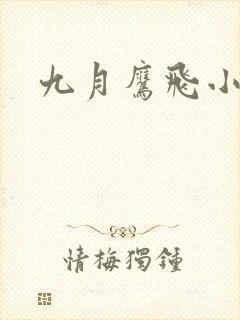 九月鹰飞小说