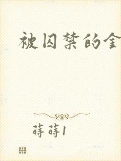 被囚禁的金丝雀封面