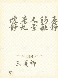 坏老人的春天敏静九章敏静