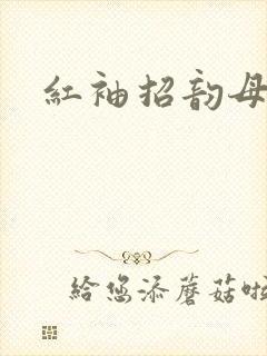 红袖招韵母攻略
