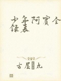 少年阿宾全文目录表