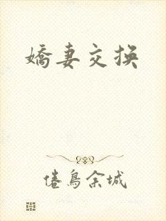 娇妻交换封面
