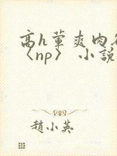 高h荤爽肉欲文〈np〉 小说