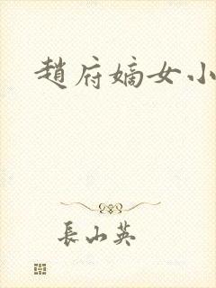 赵府嫡女小说封面