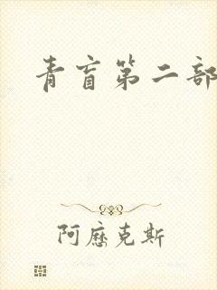 青盲第二部封面