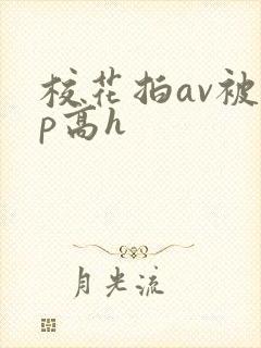 校花拍av被np高h