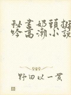 秘书奶头挺立呻吟高潮小说