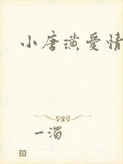 小唐璜爱情历史