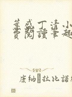 叶盛丁清小说免费阅读笔趣阁