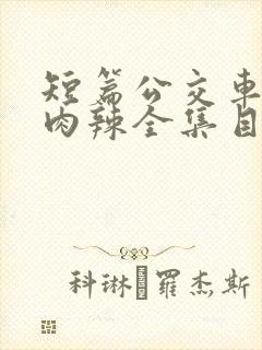 短篇公交车高h肉辣全集目录