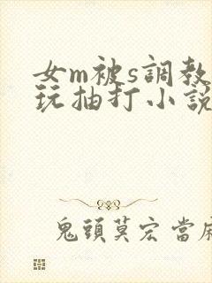 女m被s调教虐玩抽打小说