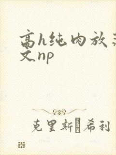 高h纯肉放荡h文np