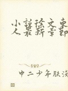 小说徐文东林伊人最新章节阅读全文