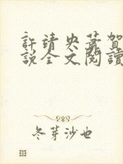 许靖央萧贺夜小说全文阅读最新章节封面