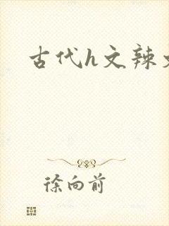 古代h文辣文