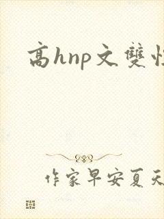 高hnp文双性