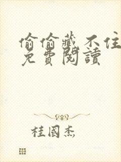 偷偷藏不住小说免费阅读