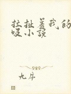 拉扯着我的奶头吸小说