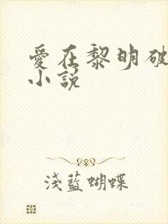 爱在黎明破晓前小说