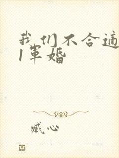 我们不合适1v1军婚封面