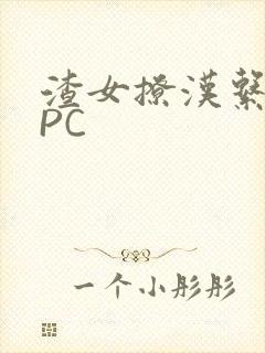 渣女撩汉系统NPC