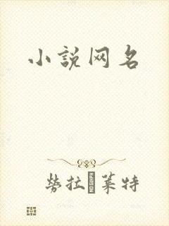 小说网名