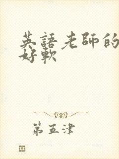 英语老师的兔子好软