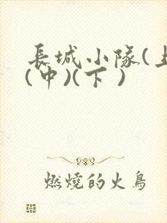 长城小队(上)(中)(下 )