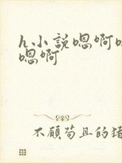 h小说嗯啊嗯啊嗯啊