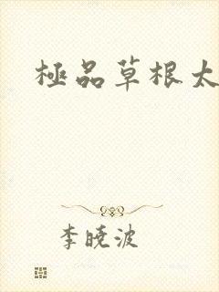 极品草根太子