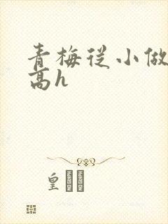 青梅从小做到大高h