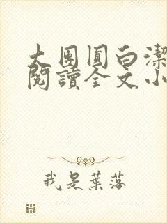 大团圆白洁免费阅读全文小说封面
