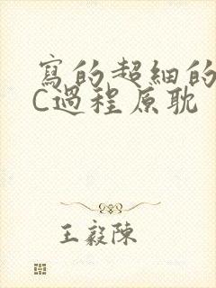 写的超细的多肉C过程原耽